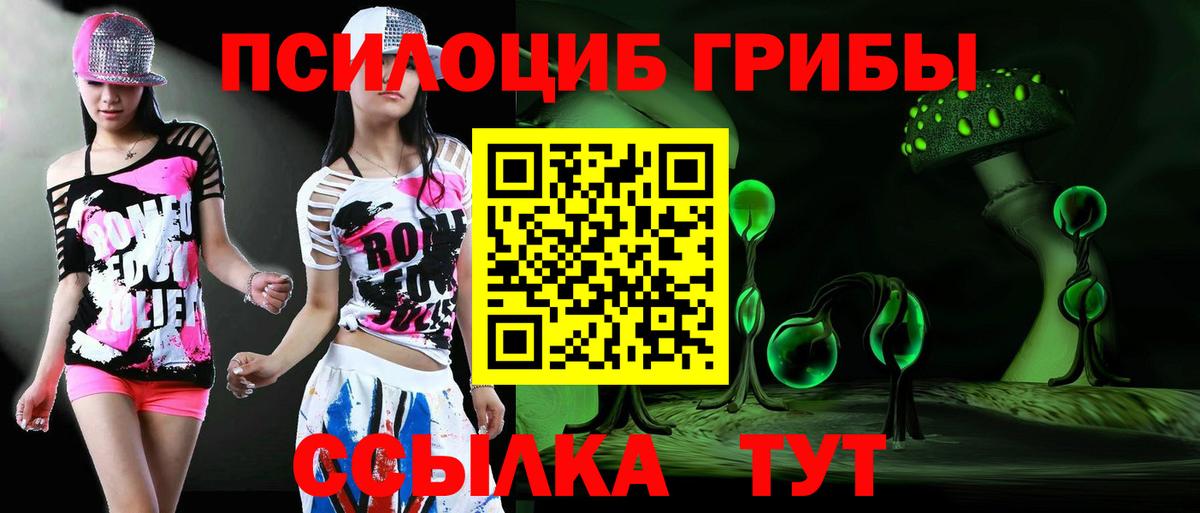Галлюциногенные грибы Magic Shrooms  Вход с VPN  Галлюциногенные грибы мухоморы  Сальск 